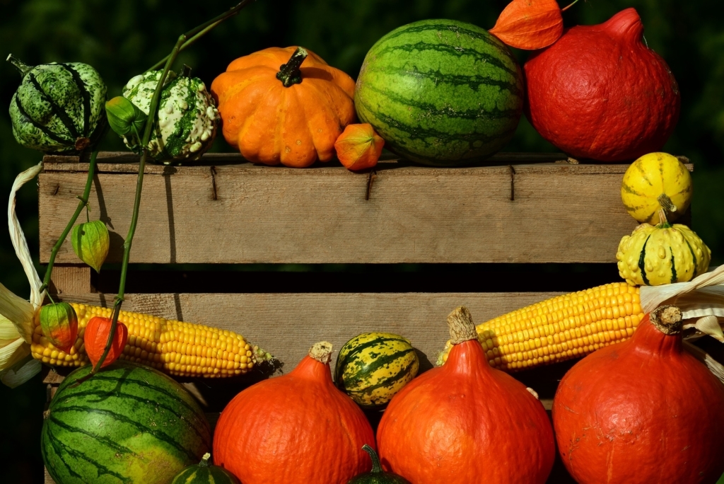 fall